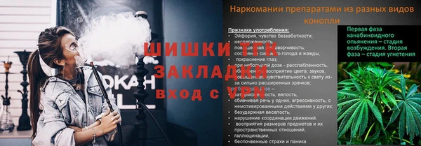 ПСИЛОЦИБИНОВЫЕ ГРИБЫ Алзамай